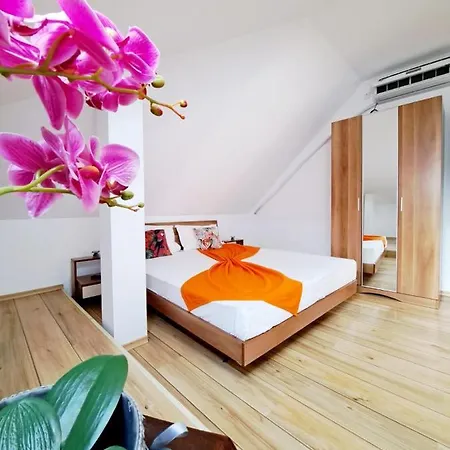 Veronica Eforie Nord