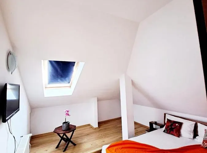 Veronica Eforie Nord